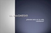 El Magnesio