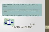 JUAN DAVID ANDRADE REGLAMENTACIÓN DEL PLAN OBLIGATORIO DE SALUD PROFUNDIZACIÓN EN GESTIÓN DE SERVICIOS DE SALUD UNIVERSIDAD DE CALDAS - MAYO 8 DE 2012.