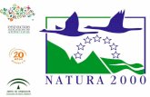 Principal instrumento para la conservación de la naturaleza en la Unión Europea Su finalidad es asegurar la supervivencia a largo plazo de las especies.