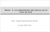 Dra. Isabel Santamaría Pérez Curso 2013-14 Tema 3. La adquisición del léxico en el aula de ELE.