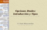 Opciones Reales: Introducci³n y Tipos © Juan Mascare±as