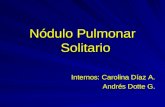 Nódulo Pulmonar Solitario Internos: Carolina Díaz A. Andrés Dotte G.