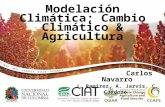 Navarro C 201405 Modelacion Climática Cambio Climático & Agricultura