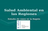 Salud Ambiental en las Regiones Estudio de casos en la Región Loreto.