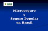 Microseguroo Seguro Popular en Brasil. Panorama Panorama de la de la Población Brasileña.