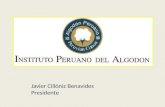 Javier Cillóniz Benavides Presidente. ALGODÓN: PROBLEMÁTICA Y ALTERNATIVAS PARA SE CRECIMIENTO Instituto Peruano del Algodón.