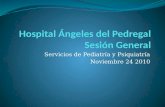 Servicios de Pediatría y Psiquiatría Noviembre 24 2010.