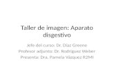 Taller de imagen: Aparato disgestivo Jefe del curso: Dr. Díaz Greene Profesor adjunto: Dr. Rodríguez Weber Presenta: Dra. Pamela Vázquez R2MI.