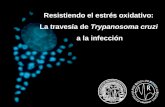 Resistiendo el estrés oxidativo: La travesía de Trypanosoma cruzi a la infección.