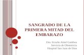 S ANGRADO DE LA PRIMERA MITAD DEL EMBARAZO Dra. Erzulie Aimé Gamboa Servicio de Obstetricia Hospital San Juan de Dios.