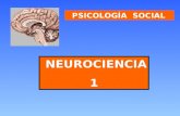 PSICOLOGÍA SOCIAL NEUROCIENCIA 1. PSICOLOGÍA SOCIAL Sergio Bórquez ¿Qué es la Neurociencia? Es el estudio científico del Sistema Nervioso. Incluye diversas.