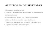 AUDITORIA DE SISTEMAS Conceptos introductorios Auditoria de ambientes de sistemas de información computarizados Evaluación del riesgo y el control interno.