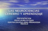 LAS NEUROCIENCIAS CEREBRO Y APRENDIZAJE PRESENTACION PROF.LAURA B.CEJAS ESP.PSICOLOGIA GRAL-PEDAGOGIA MEDICA.