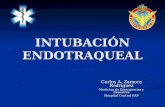 INTUBACIÓN ENDOTRAQUEAL Carlos A. Zamora Rodríguez Medicina de Emergencias y Desastres Hospital Central FAP.