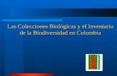 Las Colecciones Biológicas y el Inventario de la Biodiversidad en Colombia.