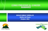 COMO PREVENIR EL CANCER MAMARIO EDGAR EMBUZ TORRALVO Medico de Planta Octubre- 2012.