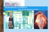 TRANSMISIÓN DE SEÑALES DE TELECOMUNICACION Índice La comunicación en la actualidad Transmisión de señales Tipos de señales Portadores Redes de comunicación.