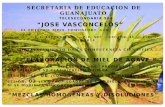 SECRETARIA DE EDUCACION DE GUANAJUATO TELESECUNDARIA 508 JOSE VASCONCELOS EL POTRERO, MPIO. COMONFORT, GTO. C.C.T. 11ETV0516X Z.E. 507 SECTOR: IV C.E.