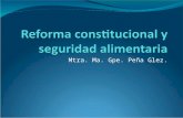 Mtra. Ma. Gpe. Peña Glez.. Contenido Respecto a derechos humanos Derecho al alimentación Seguridad alimentaria Reforma constitucional Reflexiones finales.