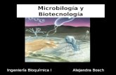 Microbilogía y Biotecnología Alejandra BoschIngeniería Bioquímica I.