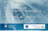 Cámara Nacional de Comercio y Servicios del Uruguay Eurocentro de Cooperación Económica (ECE) Programa AL INVEST III Lic. Anabella Cosentino Costa Montevideo,