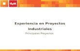 Experiencia en Proyectos Industriales Principales Proyectos.
