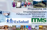 Propuesta de Implementacion Plataforma de Telemedicina ESSALUD.