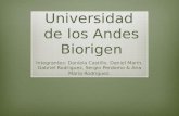 Universidad de los Andes Biorigen Integrantes: Daniela Castillo, Daniel Marín, Gabriel Rodriguez, Sergio Perdomo & Ana Maria Rodriguez.