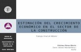 ESTIMACIÓN DEL CRECIMIENTO ECONÓMICO EN EL SECTOR DE LA CONSTRUCCIÓN MÁSTER EN EDIFICACIÓN Especialidad en Gestión de la Edificación Curso 2010/2011 Trabajo.