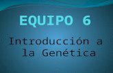 Introducción a la Genética. La Genética es la ciencia que estudia la herencia biológica, es decir, la transmisión de caracteres de generación en generación.