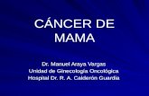 CÁNCER DE MAMA Dr. Manuel Araya Vargas Unidad de Ginecología Oncológica Hospital Dr. R. A. Calderón Guardia.