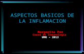 ASPECTOS BASICOS DE LA INFLAMACION Margarita Paz Curso de Inmunología UMG – 2013.