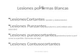 Dra. Graciela A. Aguirre Le Lesiones por armas Blancas Lesiones Cortantes (presión y deslizamiento) Lesiones Punzantes (predomina profundidad sobre extensión)