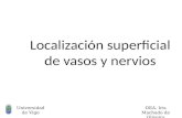 Universidad de Vigo DEA. Iris Machado de Oliveira Localización superficial de vasos y nervios.