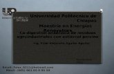 Universidad Politécnica de Chiapas Maestría en Energías Renovables Co-digestión anaerobia de residuos agroindustriales con estiércol porcino Noviembre.