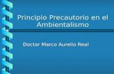Principio Precautorio en el Ambientalismo Doctor Marco Aurelio Real.
