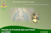 Movimiento Familiar Cristiano “La familia, comunidad de amor, vida y esperanza” Reunión de Provincia San Luis Potosí con ECDS Movimiento Familiar Cristiano.