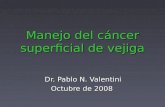 Manejo del cáncer superficial de vejiga Dr. Pablo N. Valentini Octubre de 2008.