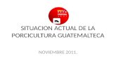 SITUACION ACTUAL DE LA PORCICULTURA GUATEMALTECA NOVIEMBRE 2011.