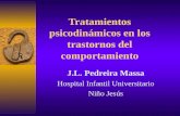 Tratamientos psicodinámicos en los trastornos del comportamiento J.L. Pedreira Massa Hospital Infantil Universitario Niño Jesús.