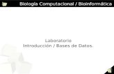 1 Biología Computacional / Bioinformática Laboratorio Introducción / Bases de Datos.