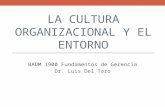 LA CULTURA ORGANIZACIONAL Y EL ENTORNO BADM 1900 Fundamentos de Gerencia Dr. Luis Del Toro.