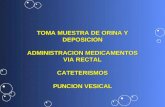 TOMA MUESTRA DE ORINA Y DEPOSICION ADMINISTRACION MEDICAMENTOS VIA RECTAL CATETERISMOS PUNCION VESICAL.