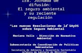 1ra. Jornada de difusión: El seguro ambiental y su reciente regulación “Las nuevas Resoluciones de la SAyDS sobre Seguro Ambiental” Mariana Valls - Dirección.