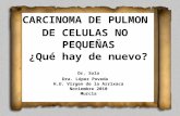 CARCINOMA DE PULMON DE CELULAS NO PEQUEÑAS ¿Qué hay de nuevo? Dr. Sola Dra. López Poveda H.U. Virgen de la Arrixaca Noviembre 2010 Murcia.