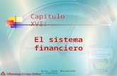 Braun, Llach: Macroeconomia argentina 1 Capítulo XVI: El sistema financiero.