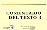 COMENTARIO DEL TEXTO 3 Universidad de Sevilla Ana Mancera Rueda/Elena Leal Abad Departamento de Lengua Española, Lingüística y Teoría de la Literatura.