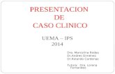 PRESENTACION DE CASO CLINICO Dra. Marcelina Rodas Dr.Andres Giménez Dr.Rolando Cardenas Tutora: Dra. Lorena Fernandez. UEMA – IPS 2014.