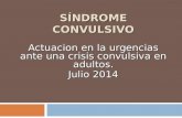 SÍNDROME CONVULSIVO Actuacion en la urgencias ante una crisis convulsiva en adultos. Julio 2014.