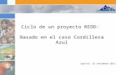 Ciclo de un proyecto REDD: Basado en el caso Cordillera Azul Iquitos, 23 setiembre 2011.